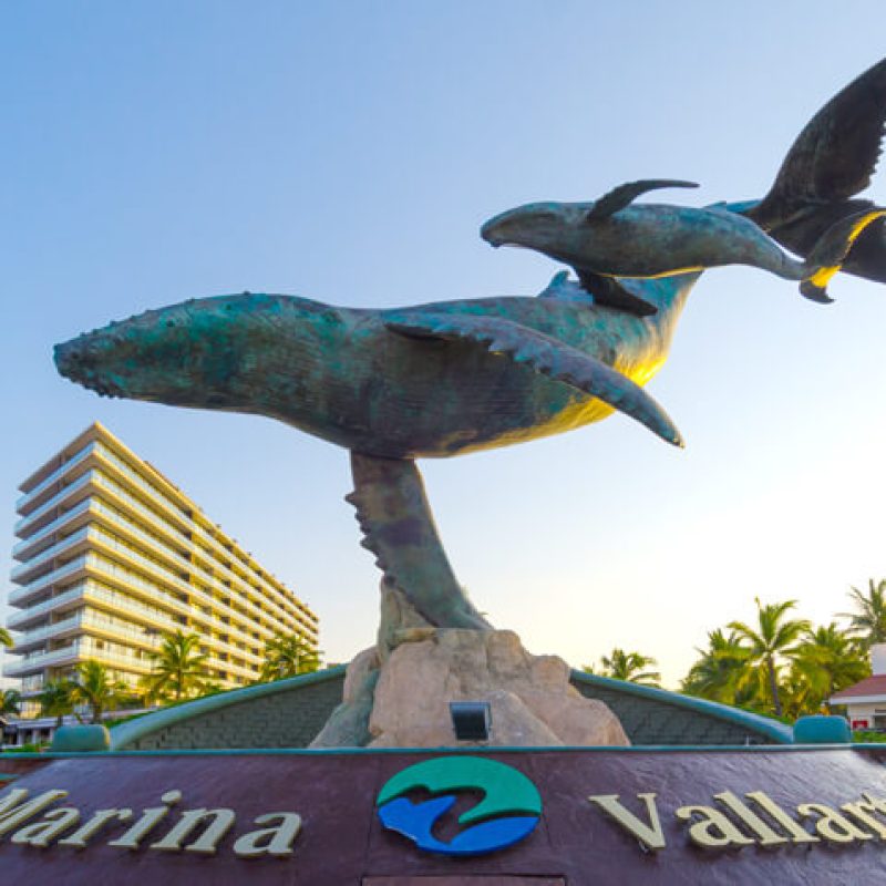 Vallarta marina