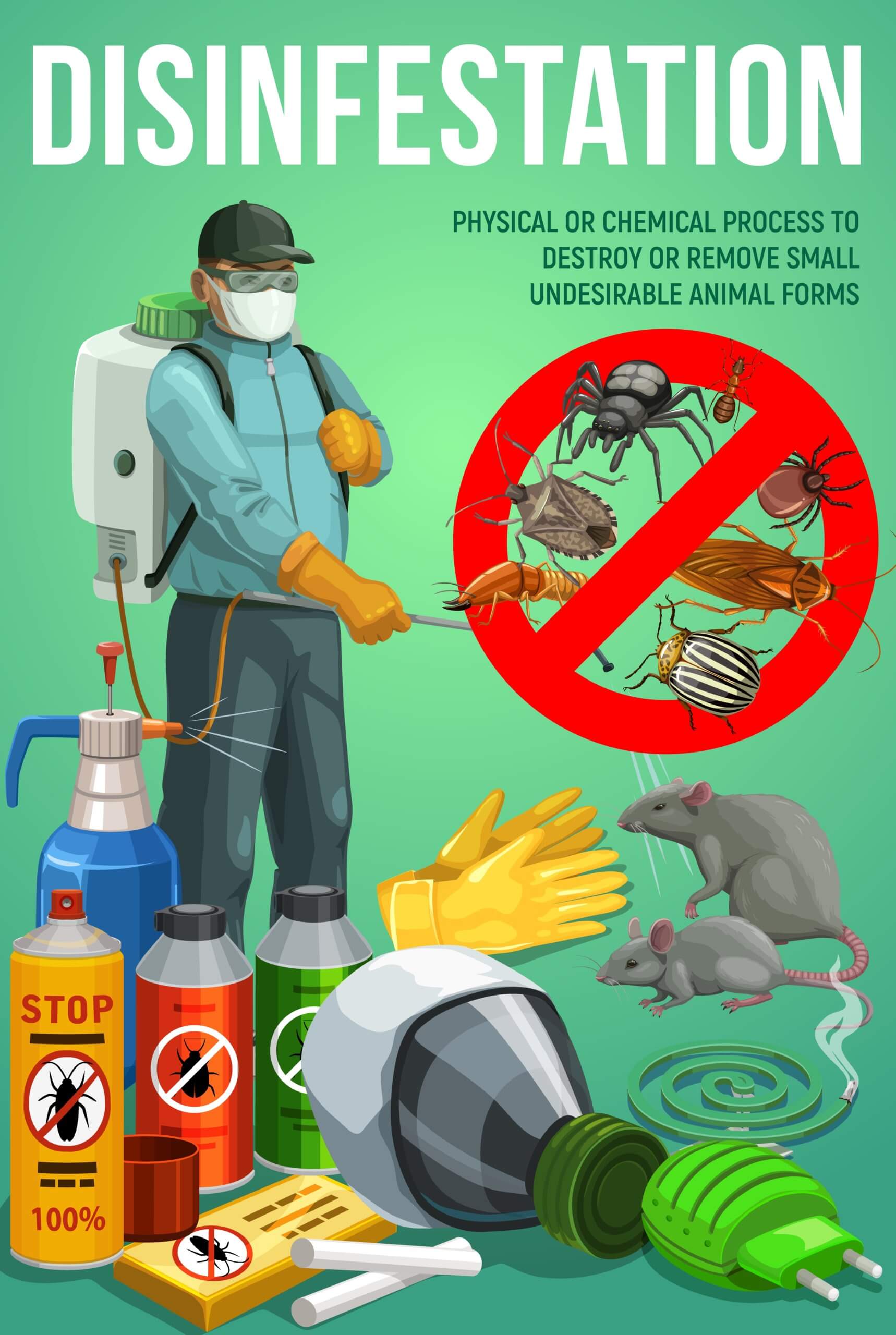 Disinfestation service, pest control, deratization and insects sanitary disinfection vector poster. Pest control rats and mice extermination, domestic insects, bugs and parasites chemical fumigation