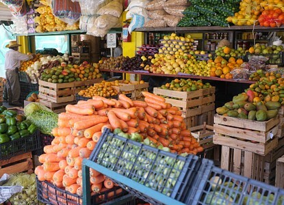 puerto vallarta produce farmers market