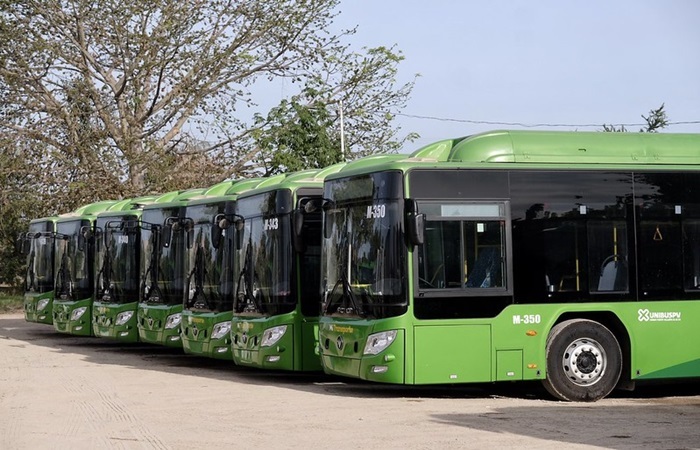 puerto vallarta bus buses transportation