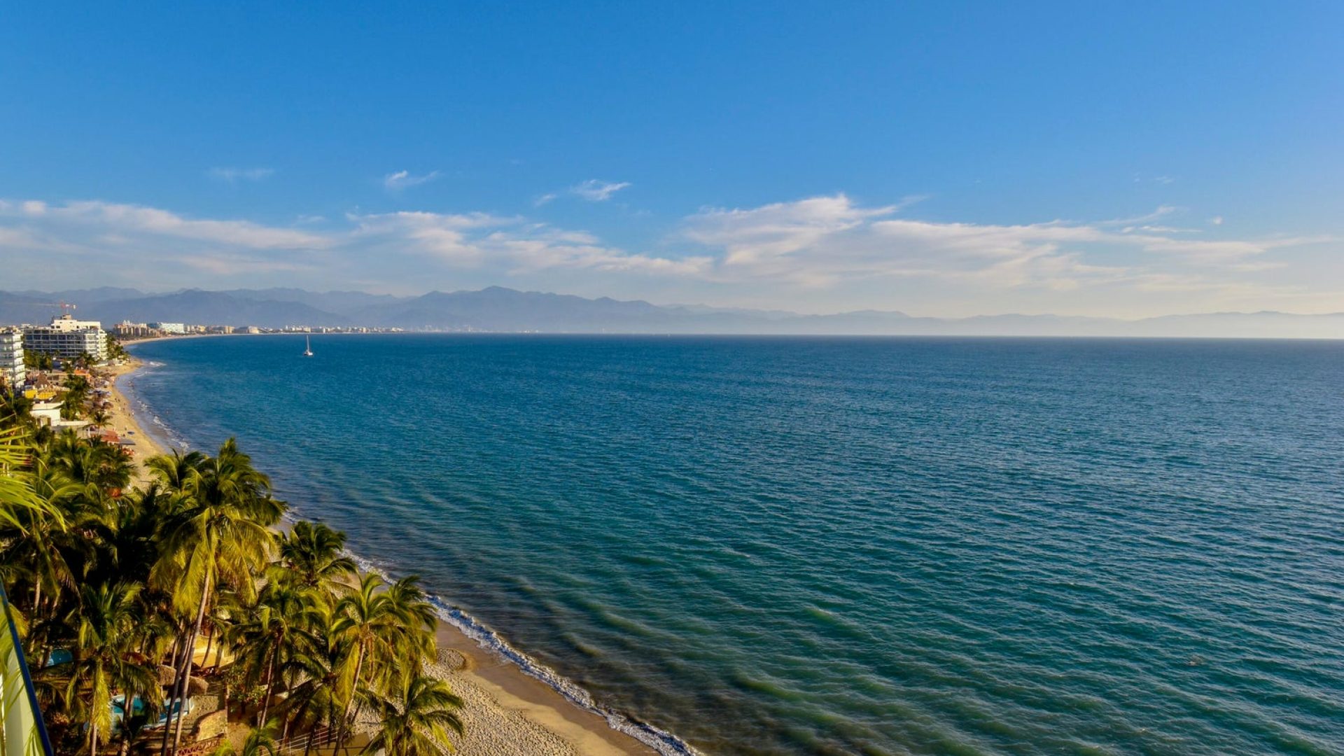 20240129200705223164000000-o