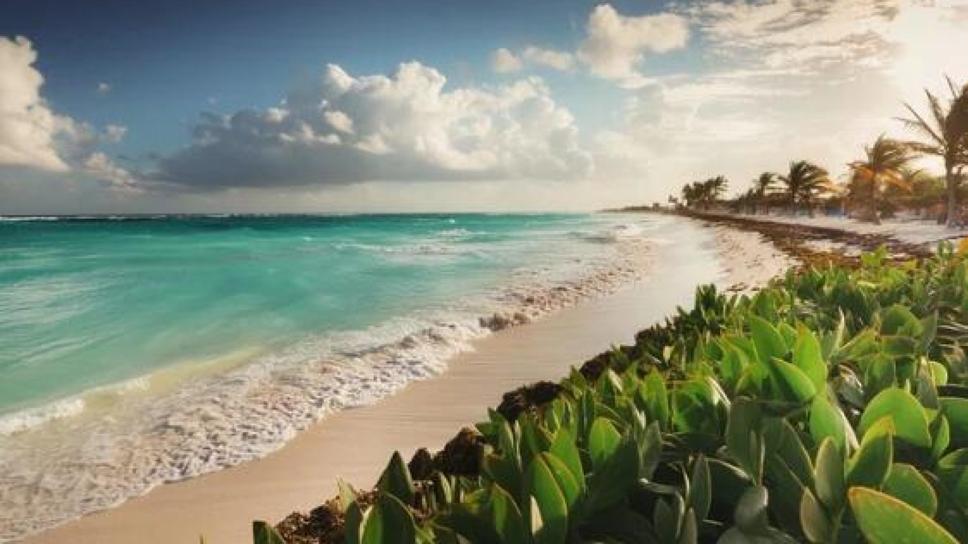 20240606010348406303000000-o