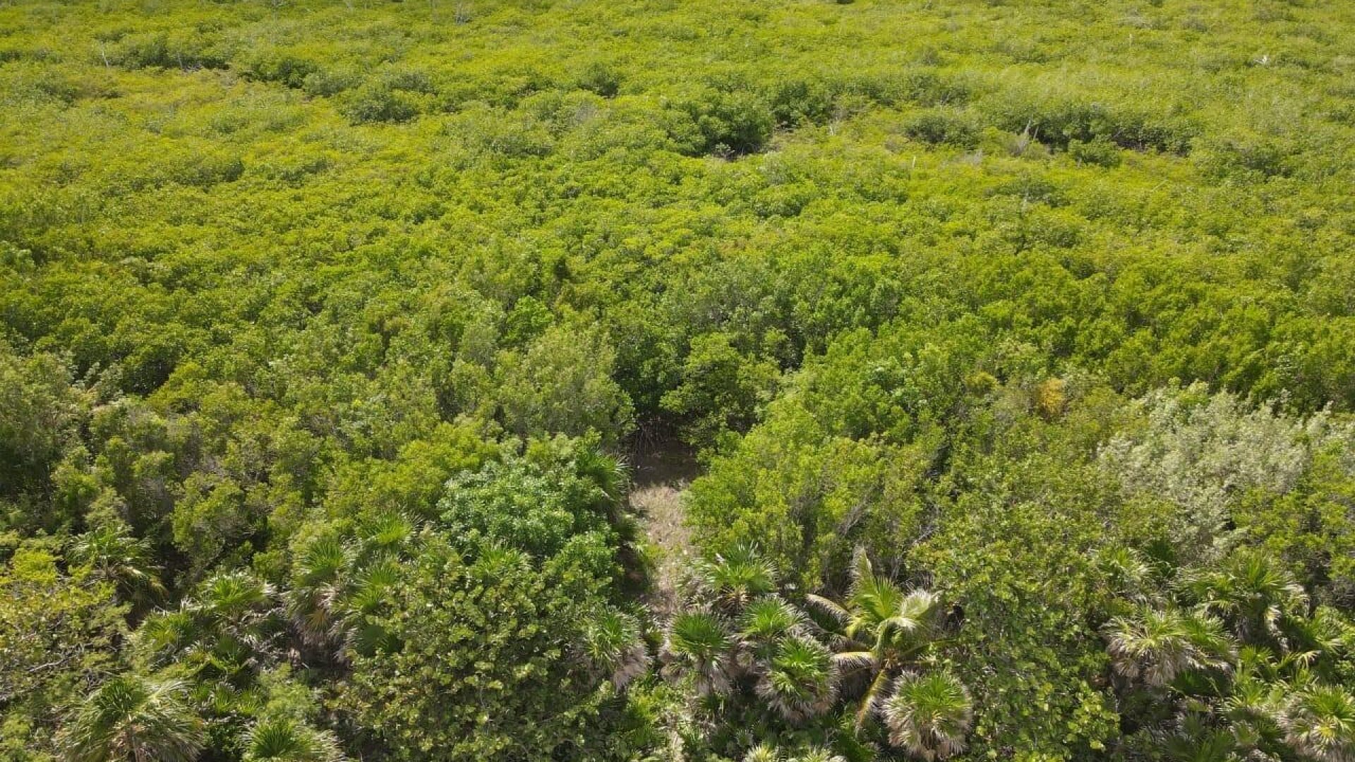 20240606010431080535000000-o