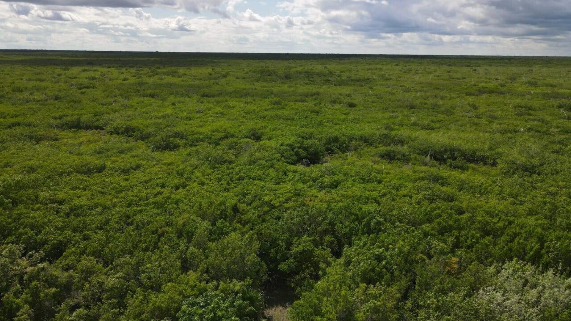 20240606010434265206000000-o