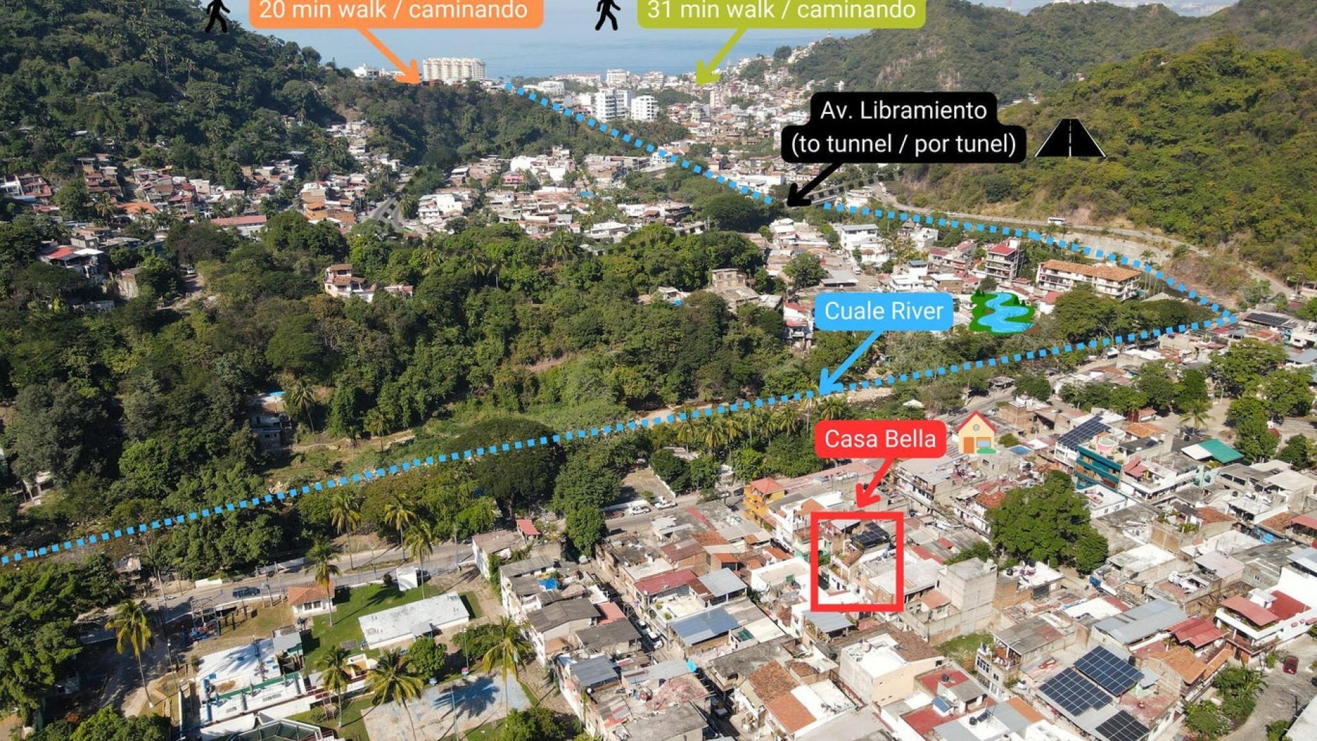 20241216170307484040000000-o