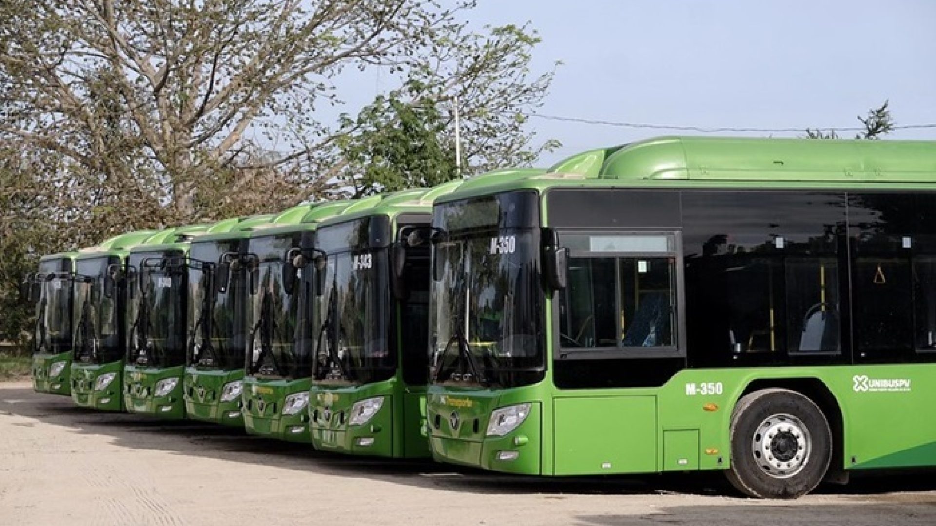 puerto vallarta bus buses transportation