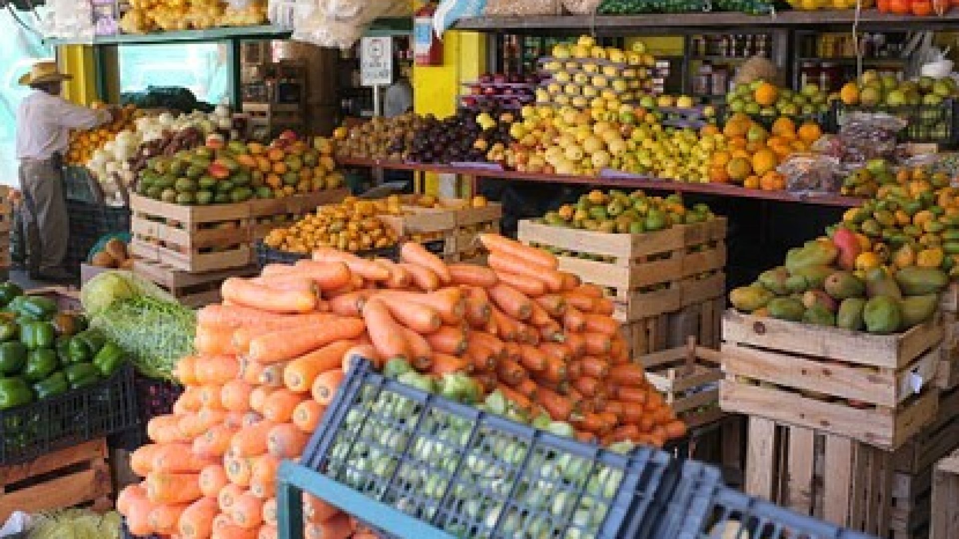 puerto vallarta produce farmers market