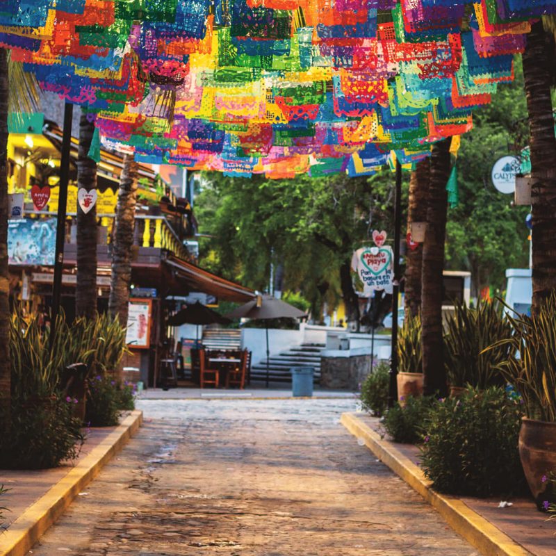 sayulita_sanpancho_vallartalifestyles2